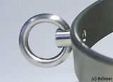 Drehbarer Ring für Halsreifen