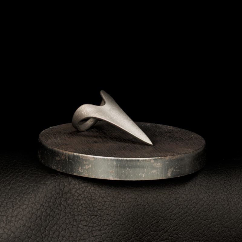 Fingerling, Kratzring, Kralle aus Edelstahl