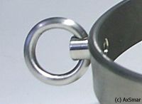 Drehbarer Ring für Halsreifen